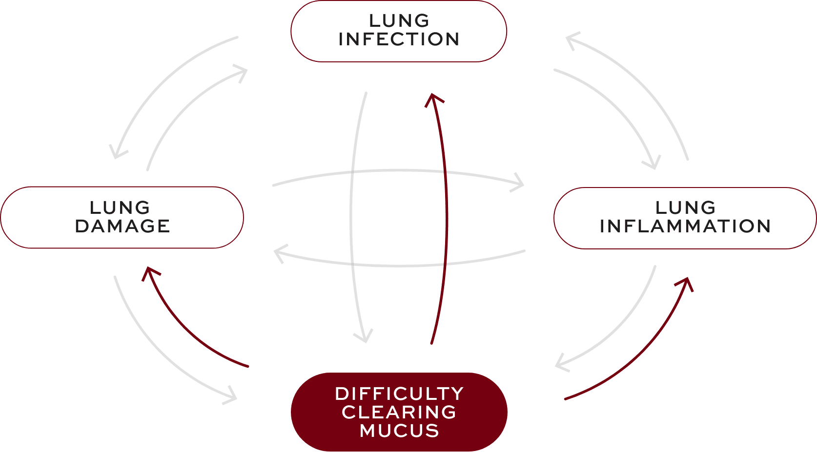 Bronchiectasis (BE) interconnected factors—difficulty clearing mucus