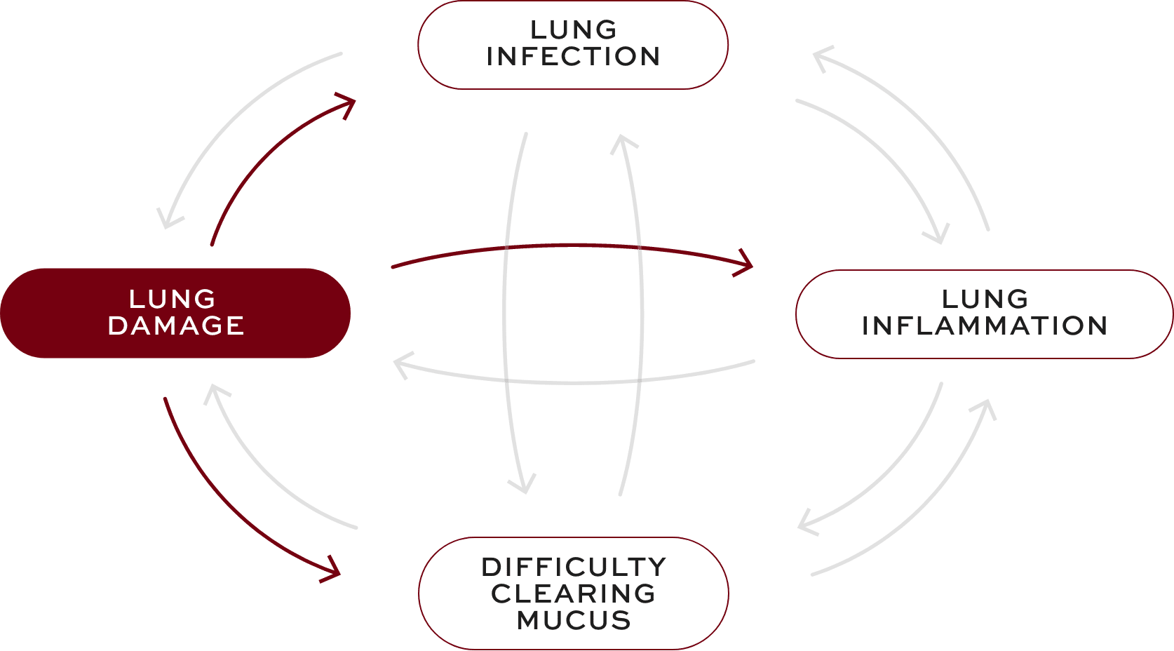 Bronchiectasis (BE) interconnected factors—lung damage