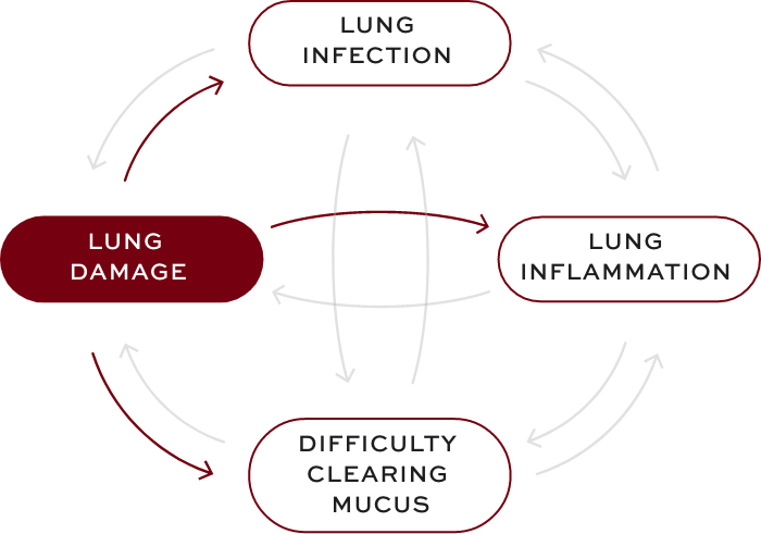 Bronchiectasis (BE) interconnected factors—lung damage