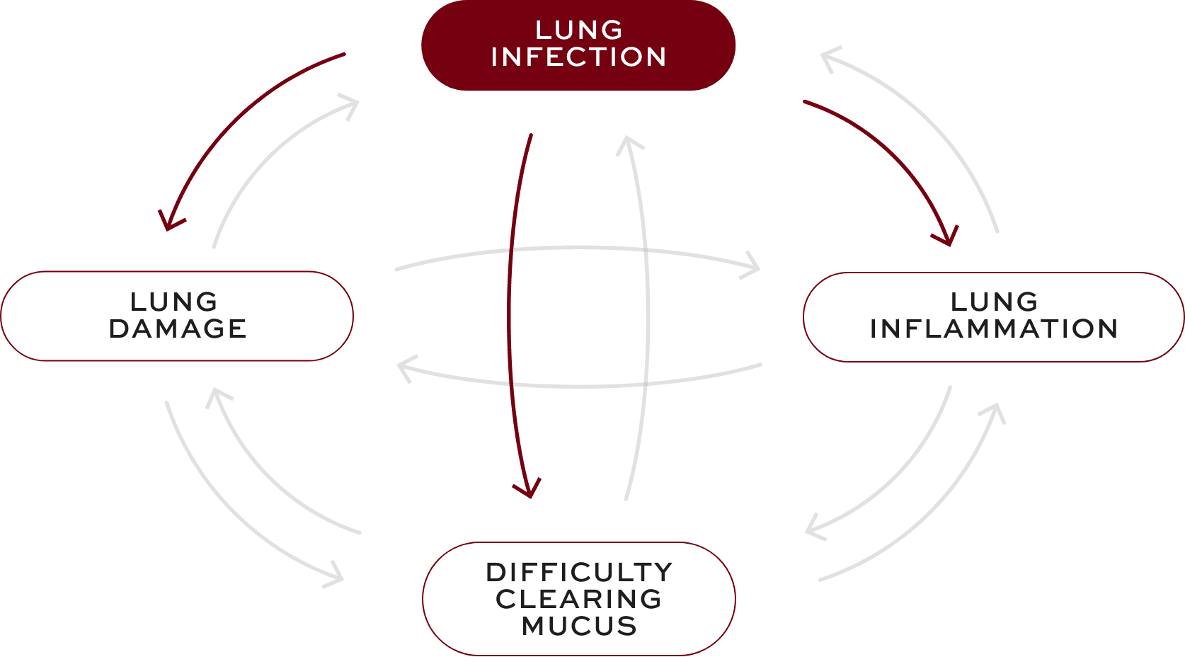 Bronchiectasis (BE) interconnected factors—lung infection